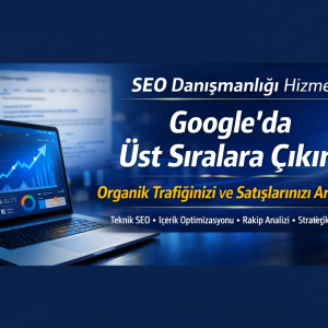 SEO Danışmanlığı Hizmeti