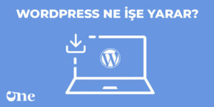 WordPress Ne İşe Yarar?
