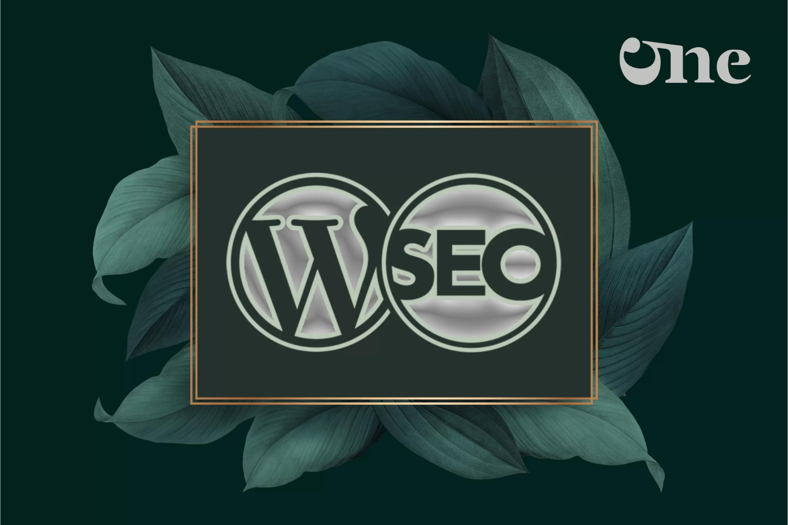 WordPress Seo Ayarları